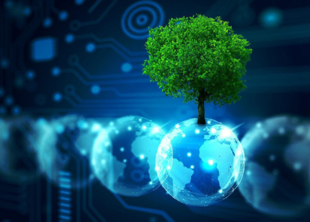 Sustainability and Innovation: